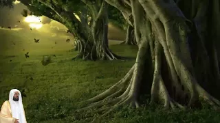 عبدالودود مقبول حنيف سورة المائده كامله 