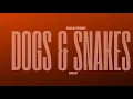 dogs & snakes: sped up | ikka, sez on the beat