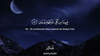 Sourate Ar Rahman Umar Sildinskiy سورة الرحمن عمر سيلدينسكي 