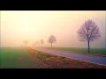 "Morning Mood" by Edvard Grieg [10 Hours Happiness]