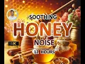 Download Lagu Soothing Honey Noise | 12 Hours | BLACK SCREEN | Study, Sleep, Tinnitus Relief and Focus