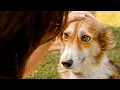 Dog finds her family after years at the shelter
