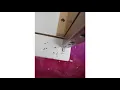 REVIEW of Donco Boy Bunkbed Harper Bright Designs Low Study Twin Loft Bed with Cabinet and Rol