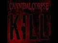 Cannibal Corpse  Death Walking Terror