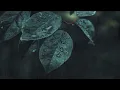 Gone Away · The Offspring | (Rain edition) Alternative 2021 slowed