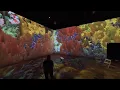Beyond Van Gogh immersive exhibit brings iconic art to life in Scottsdale