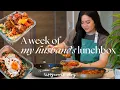 a week of husband s lunchbox ep 5 cozy home-cooked recipes