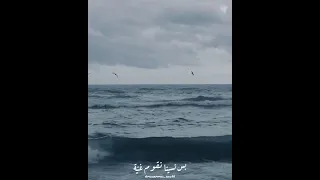 داسمه كلام عشنا العمر نربي حمام بس نسينا نقوم غية 