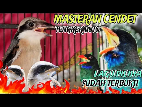 Download MP3 MASTERAN CENDET FULL TEMBAKAN TENGKEK BUTO PANJANG