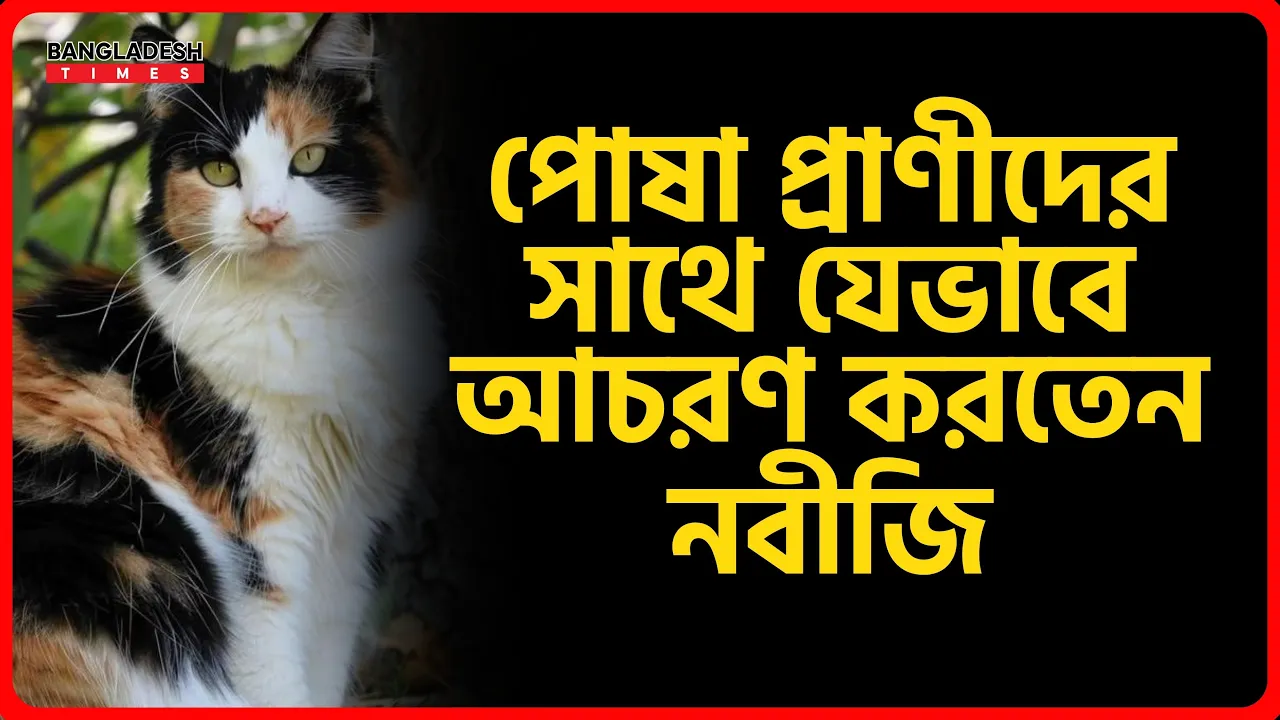 পোষা প্রাণীদের সাথে যেভাবে আচরণ করতেন নবীজি