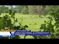 River Ranch residents sue Redding Shasta County over proposed detention facility