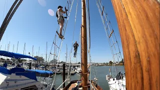 Salt & Tar: Ep.146- Day 2,219