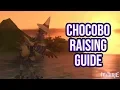 FFXIV 2 3 0378 Chocobo Raising Guide