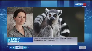 Омичи провели ночь в зоопарке