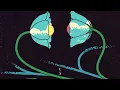Lane 8, Kasbo & BJOERN - World Is Mine (Reprise)