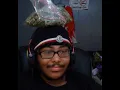 ZENLEAF DISPENSARY NBEW JERSEY CART REVIEW