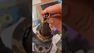                                                                                                 دندنها