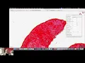 Why is QuPath slow Sampling with VisualVM