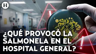 ¿Consumir huevo tibio es peligroso? Dr. Alejandro Macías alerta sobre las causas de la salmonelosis