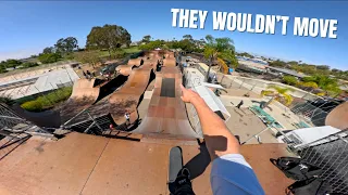 They Wouldn't Move So I Jumped Over Them