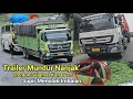 Download Lagu Truck Trailer Menanjak Mundur Untuk Melong Di Bukit Kodok.Truck Tronton Menarik Bus Gagal Menanjak..