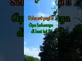 Download Lagu Story WA Ucapan Selamat Pagi - Pagi