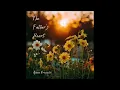 Apple Of My Eye - The Father's Heart - Aimee Brownlie