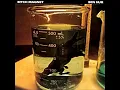 Bitch Magnet - Gator