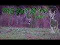 The RUT is on SOUTH GEORGIA Part 1