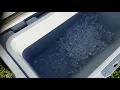 Lifetime 28 quart cooler review