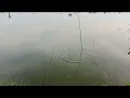 Download Lagu @perdana klm sawah palu ibus kangkungan tgl.14.09.2025 jam 05 pagi tkt Rp.100k kawan