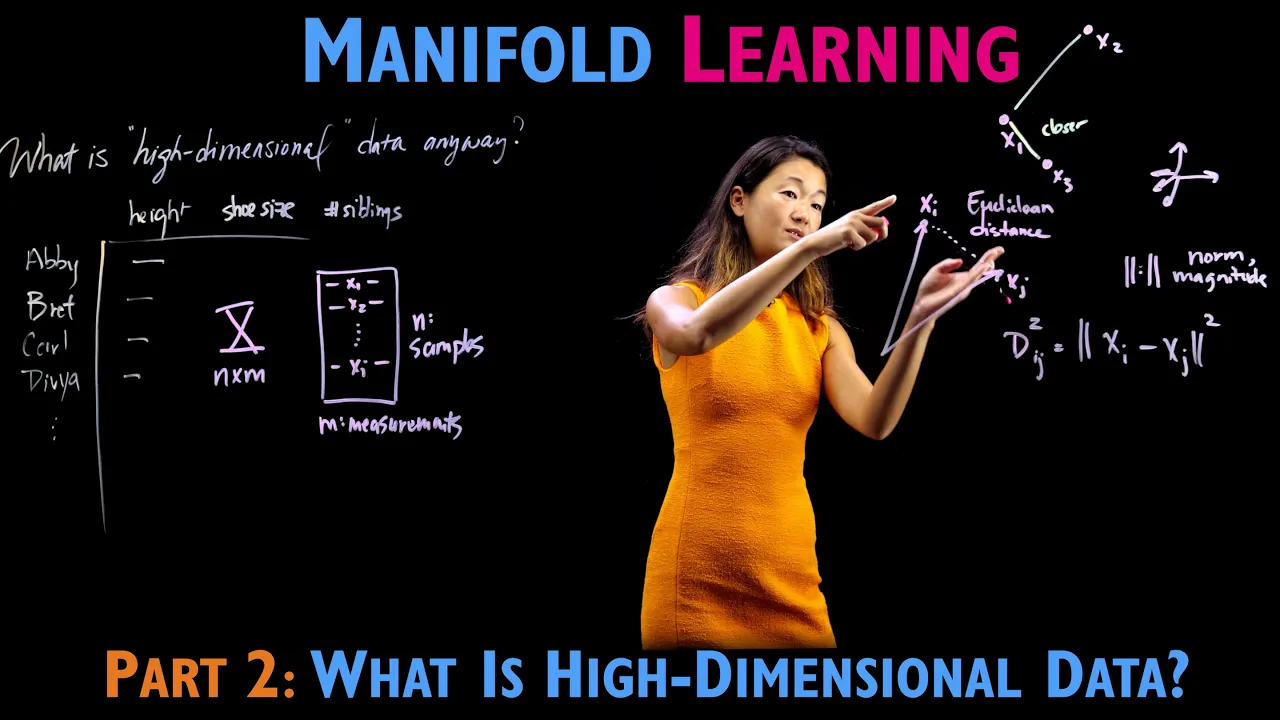 What is high dimensional data?