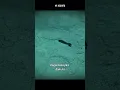 Download Lagu Apa yang terjadi jika Bom Nuklir diledakkan di bawah air? #shorts