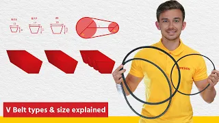 V-Belt types size I How to select the right V Belt I Tameson