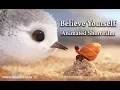 Download Lagu UZAIR Best Animated Short Films 2021 - Motivational \u0026 Inspirational