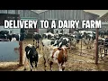 Download Lagu Delivery To A Dairy Farm | Vlog 432