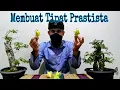 Download Lagu Tutorial Cara Membuat Tipat Prastista