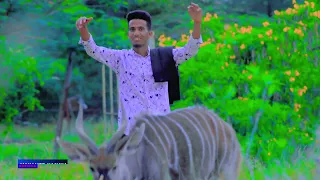 DHAANTO CUSUB MAXAMED KASHKA DHAL UGAAS VIDEO 2025 