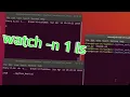 WATCH FUNCTION IN LINUX