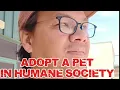 LETS EXPLORE HUMANE SOCIETY ADOPT A PET IN RENO NEVADA