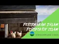 Download Lagu Peternakan Dalam Perspektif Islam | Salam Cinta Dari Ujung Kandang