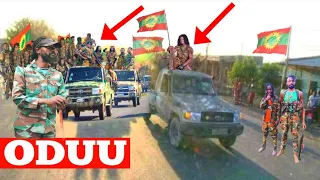 ODUU Hatattama Jaal Marroo Fi Humni WBO Guddaan Yeroo Waraana 2000 Ol Fixun Gara Finfinnee Imalan 