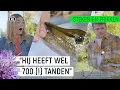 Download Lagu DOODSBANGE PRESENTATOR WORDT GEBETEN DOOR SNOEK! | Steken en Prikken S2 #10 | NPO Zapp