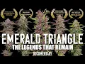 Download Lagu Emerald Triangle: The Legends That Remain [Cannabis Documentary]