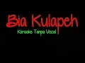 Download Lagu #KaraokeLaguKerinci || Bia Kulapeh || Desi Vitria ||