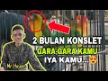 Download Lagu Lovebird \