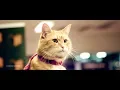 A Street Cat Named Bob (2016) - Ending Scene