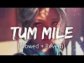 Download Lagu Tum Mile [Slowed+Reverb] | Javed Ali | Lofi | Textaudio