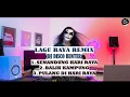 Download Lagu LAGU RAYA REMIX - DJ DISCO HUNTER