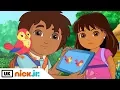 Download Lagu Dora and Friends | For The Birds | Nick Jr. UK